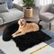 Plush Calming Dog Couch Bed with Removable and Washable Zipper Cover